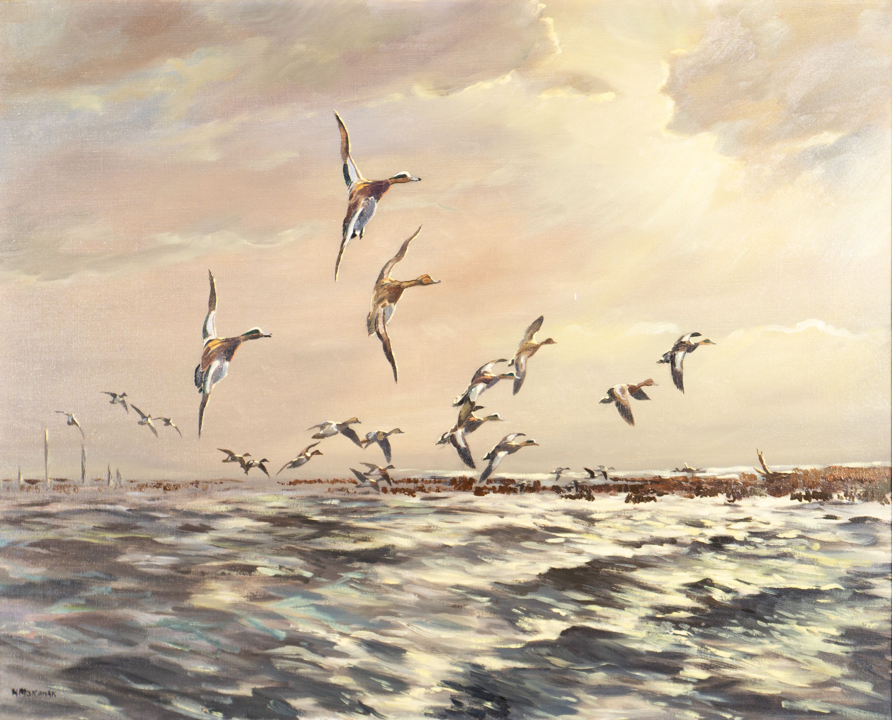 Monahan birds